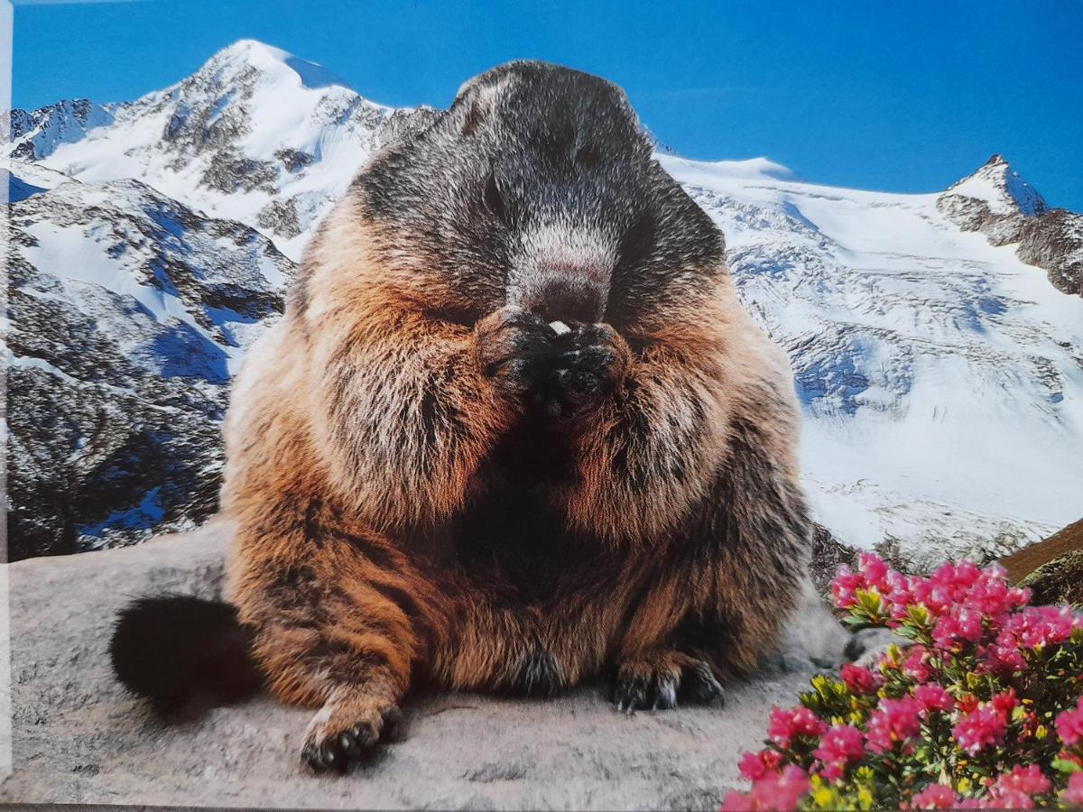 Appartement Hochmuth Ramsau im Zillertal Esterno foto